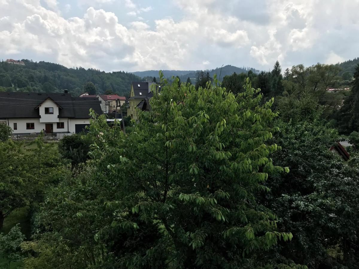 Apartamenty Montania Wisla Wisła Exterior foto