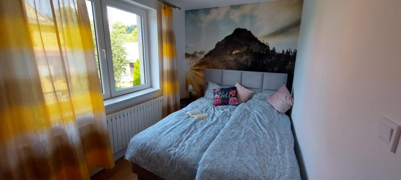 Apartamenty Montania Wisla Wisła Exterior foto