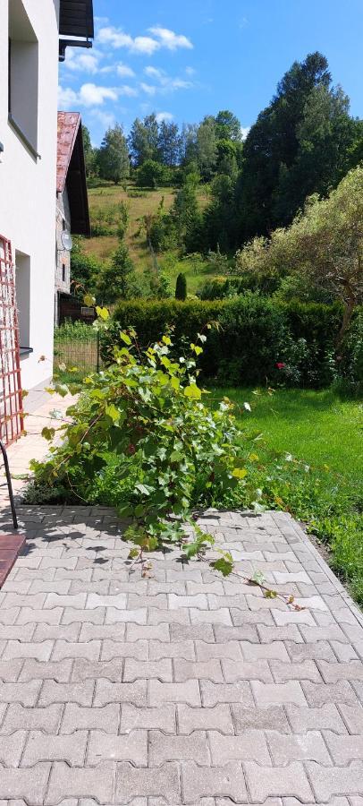 Apartamenty Montania Wisla Wisła Exterior foto