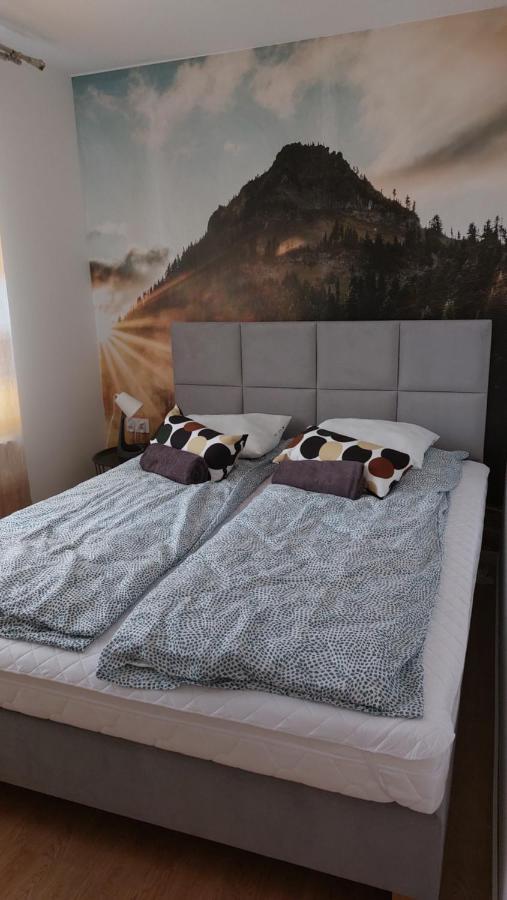Apartamenty Montania Wisla Wisła Exterior foto
